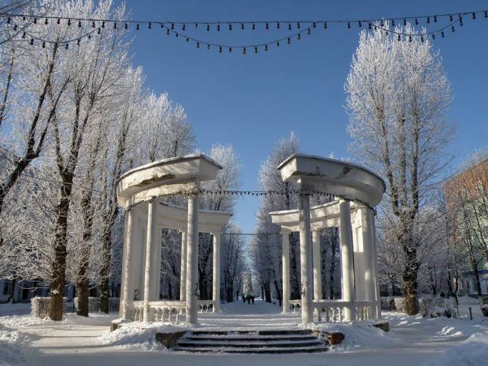 Медицинские справки в Новомосковске