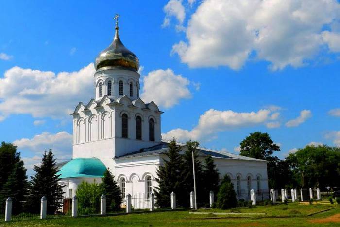 Медицинские справки в Александрове